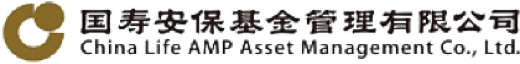 China Life Security